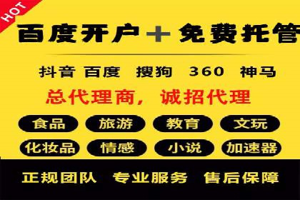 科技公司SEM优化师的日常与挑战——以某科技巨头为例